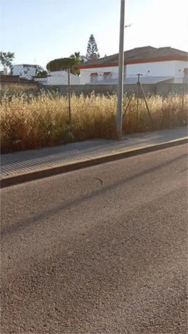 Casa adosada en campito - Foto 4