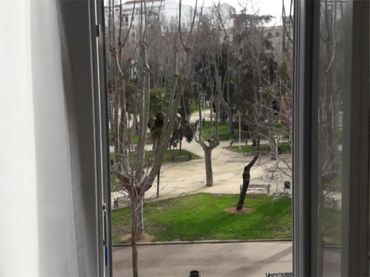 Piso en  Avenida de los Comuneros 1 - Foto 1