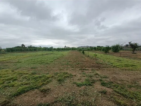 Finca rústica en Avenida Ermita del Pilar s/n - Foto 4