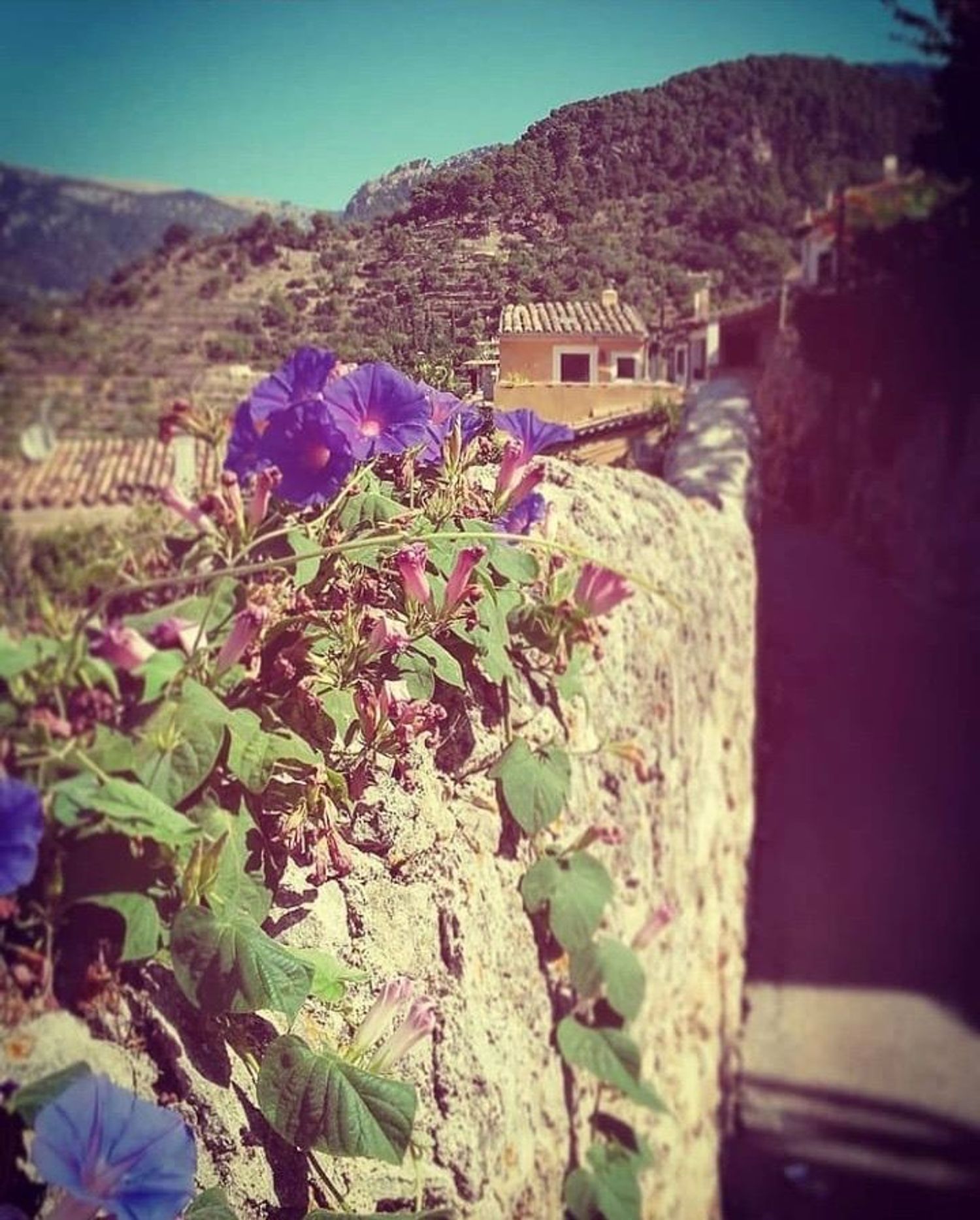 Casa de pueblo en Calle de la Lluna, 19 - Foto 3