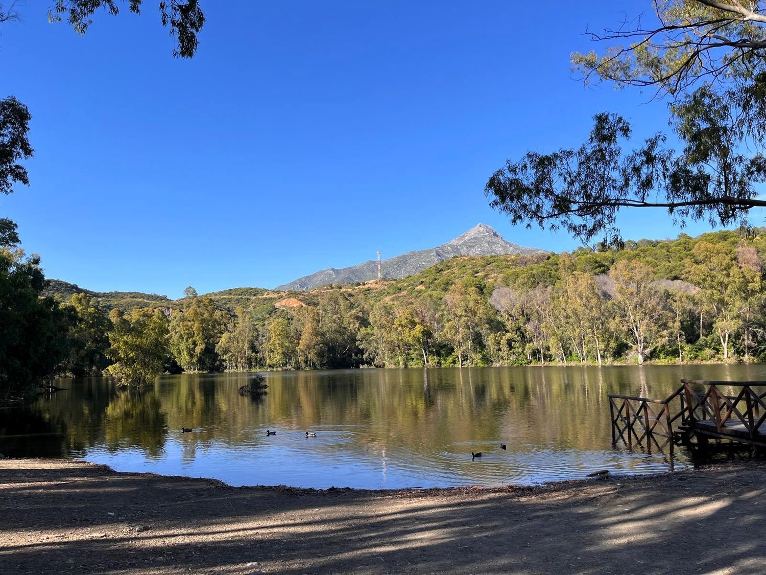 Piso en calle Auriga, 3 - Foto 22