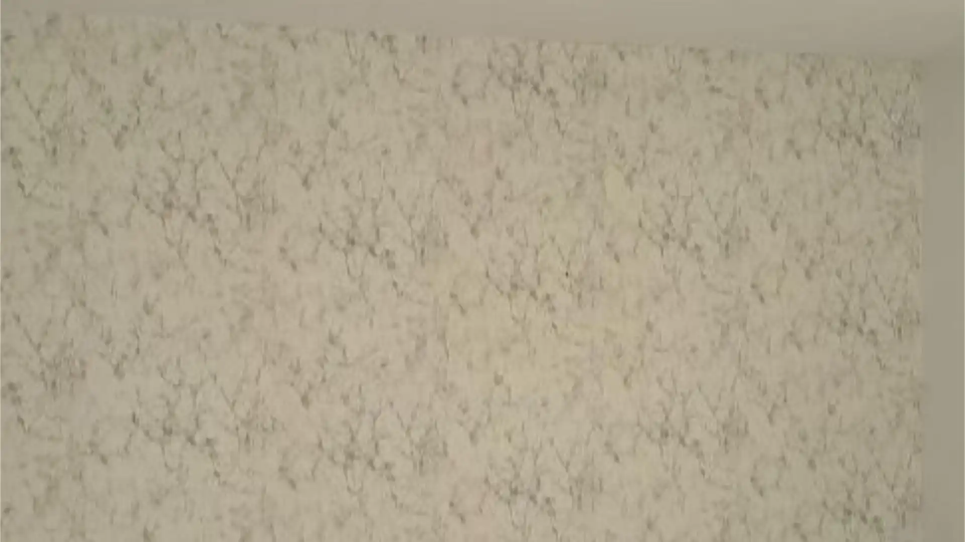 Piso en  Urbanizacion Tabaiba Sector 44 5 - Foto 12