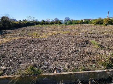 Terreno Residencial en  Camino de la Olma 28 - Foto 4