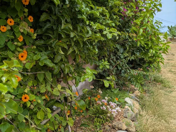 Casa rural en camino Carril, 39 - Foto 15