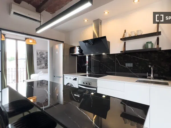 Estudio en Passatge de Mas de Roda, El Poblenou - Foto 12
