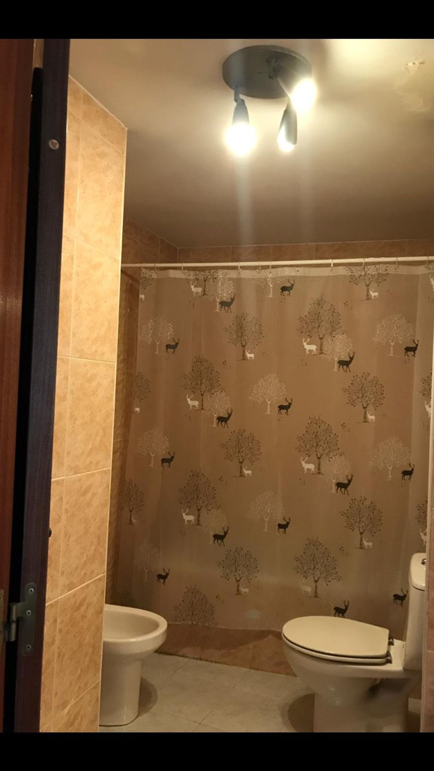 Dúplex en Calle San Vicente de Paul, 25, Centro - Foto 40