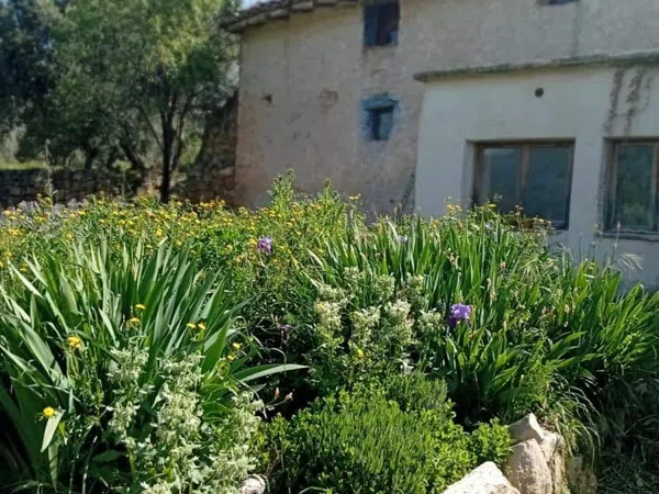Masía en Masía en Camino del Pantano, 34 - Foto 4