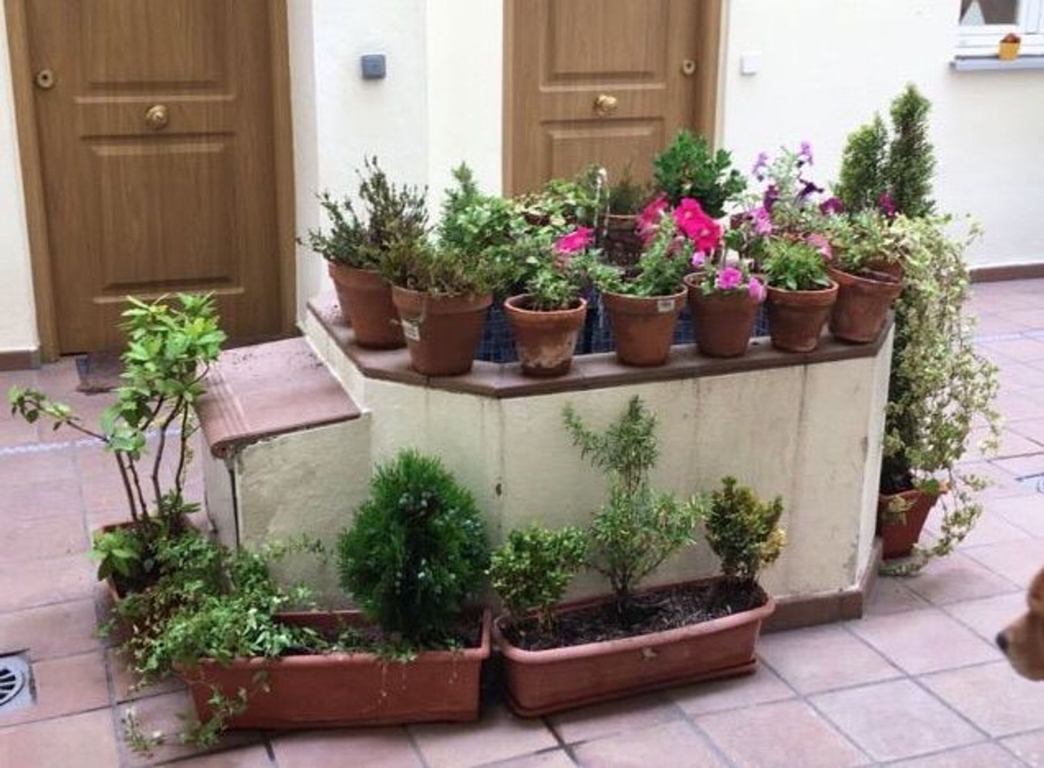 Dúplex en calle del Prado, 10 - Foto 22