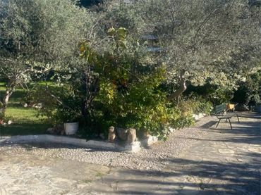 Piso en  Passeig Marítim de Sant Joan de Déu 188 - Foto 43