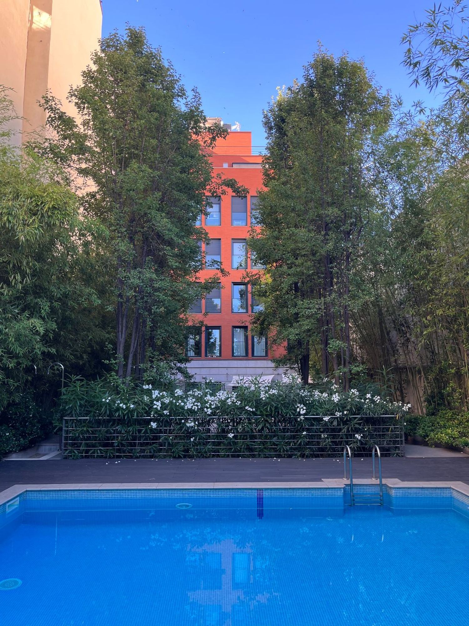 Estudio en calle de García de Paredes, 12