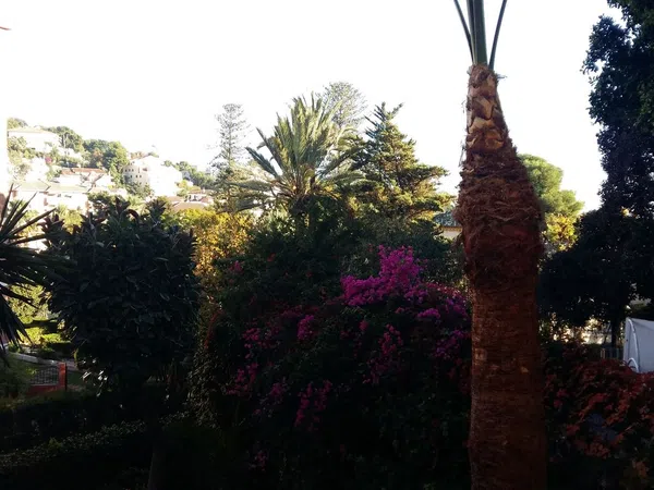 Piso en calle República Argentina, 29 - Foto 28