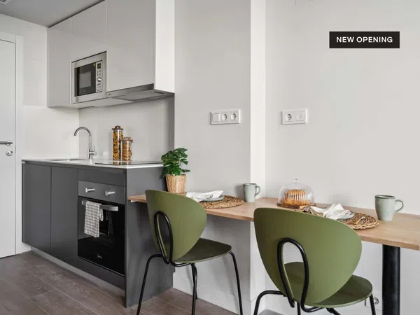 Estudio en Calle de José Antonio Rebolledo y Palma, 23 - Foto 7