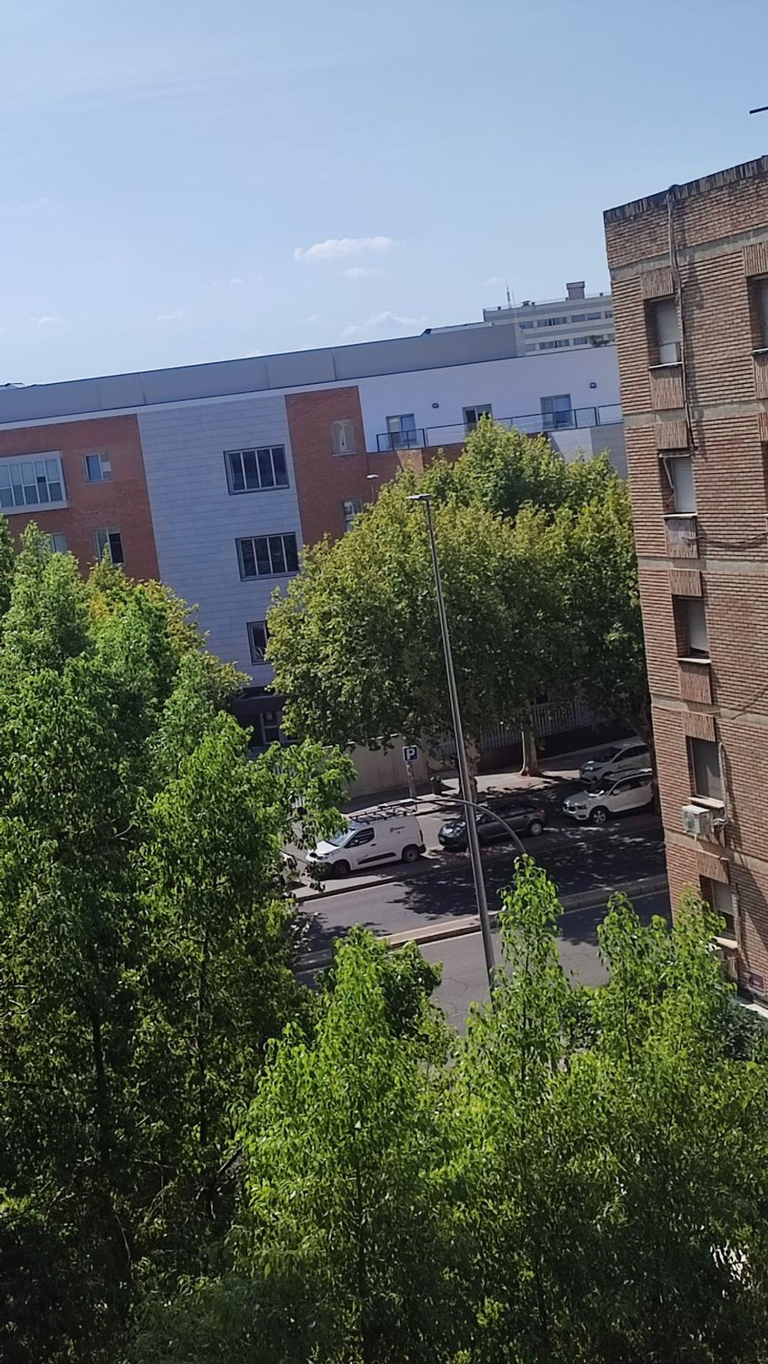 Piso en Calle Alcalde Velasco Navarro, 17, Ciudad Jardín - Foto 21