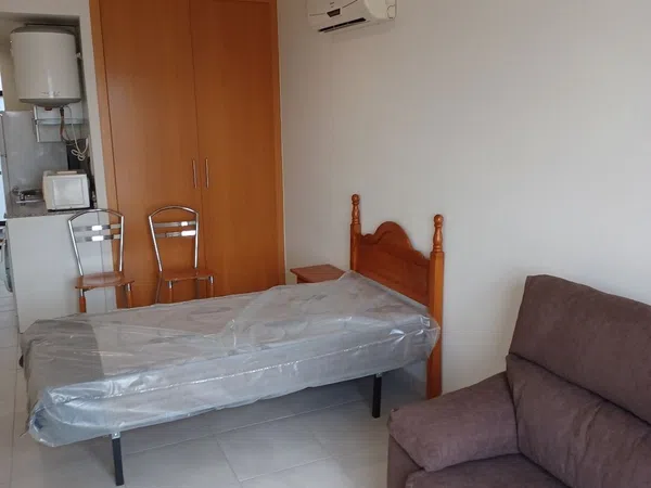 Estudio en Calle Profesor Joaquín Hellín, 1, La Ñora - Foto 4