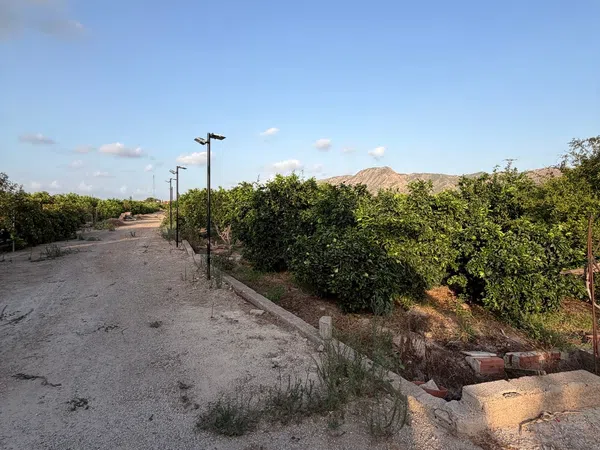 Finca rústica en Camino de los Plazas, 16, San José de la Vega - Foto 31