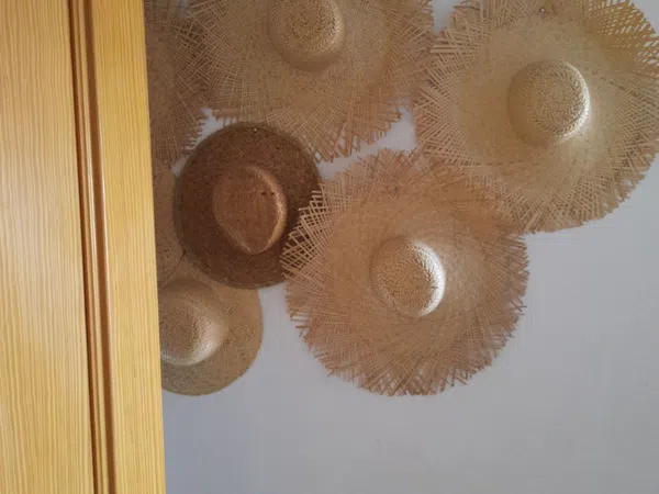 Piso en Av. Puerto, 18, Moncófar playa, Moncófar playa - Foto 6