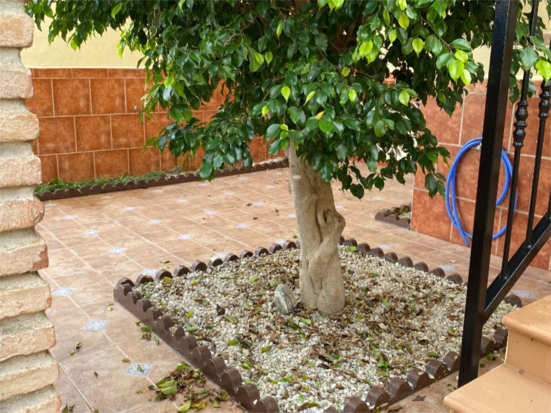 Casa adosada en  Calle Escritor Marcos Negrete 5 - Foto 28