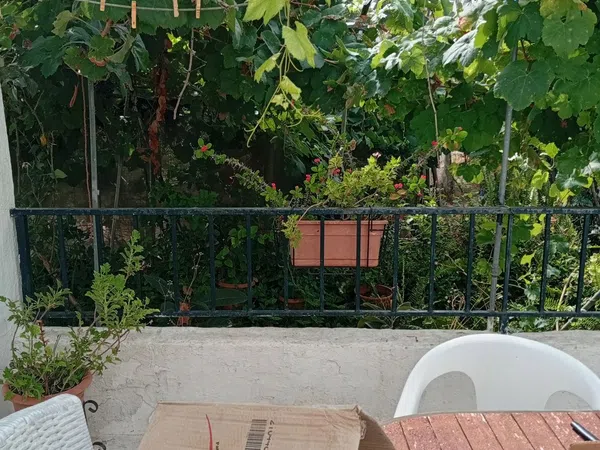 Finca rústica en Calle Galdames, 108, Ayamonte Pueblo, Ayamonte Pueblo - Foto 13