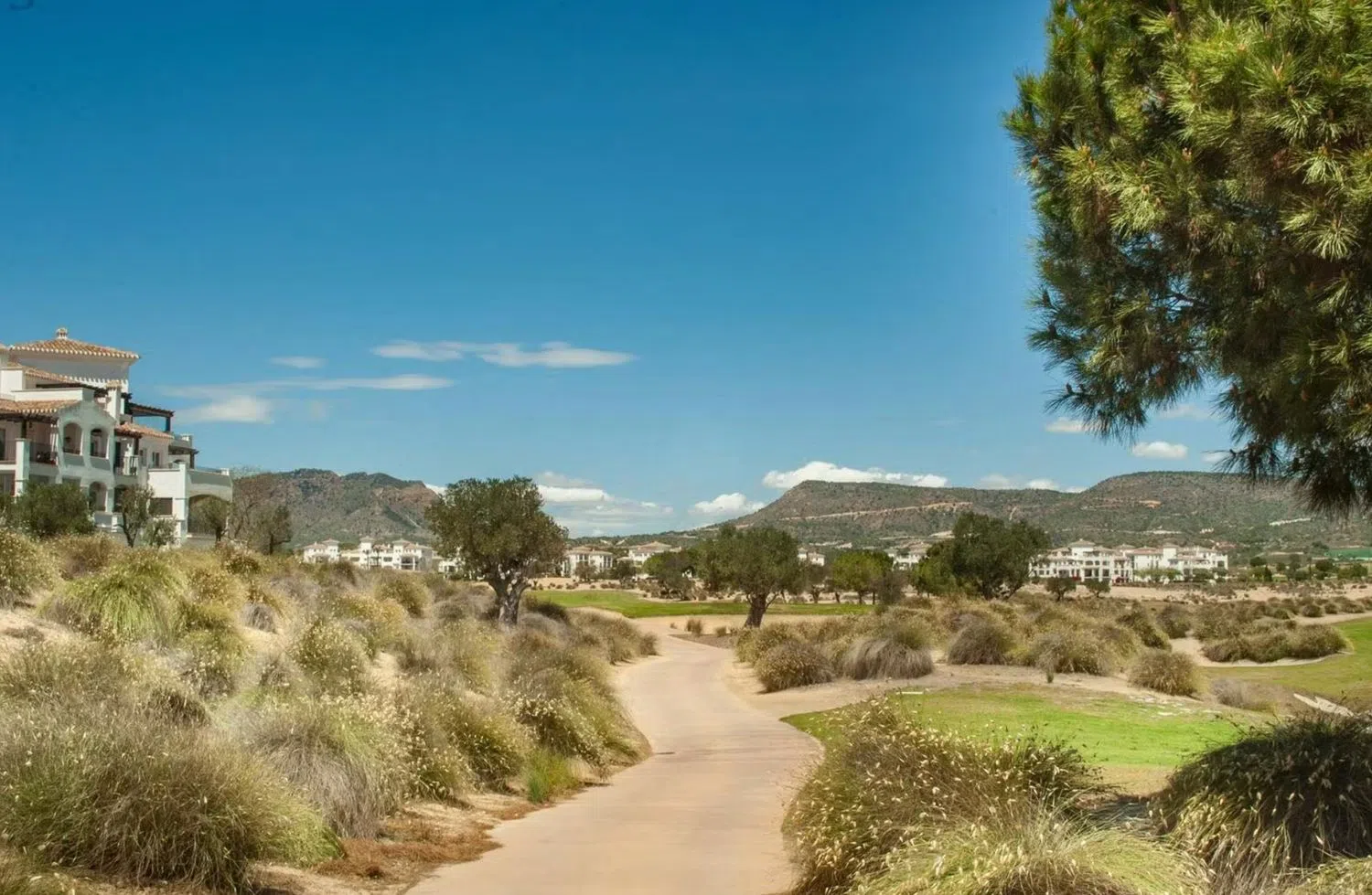 Piso en Rm-f19, 1 b - Foto 19