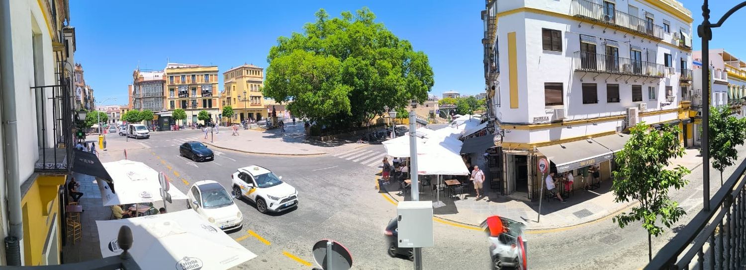 Oficina en Plaza del altozano, 8, Calle Betis - Pagés del Corro - Foto 14