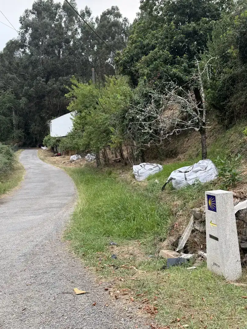 Finca rústica en  O Soldón 46 - Foto 4