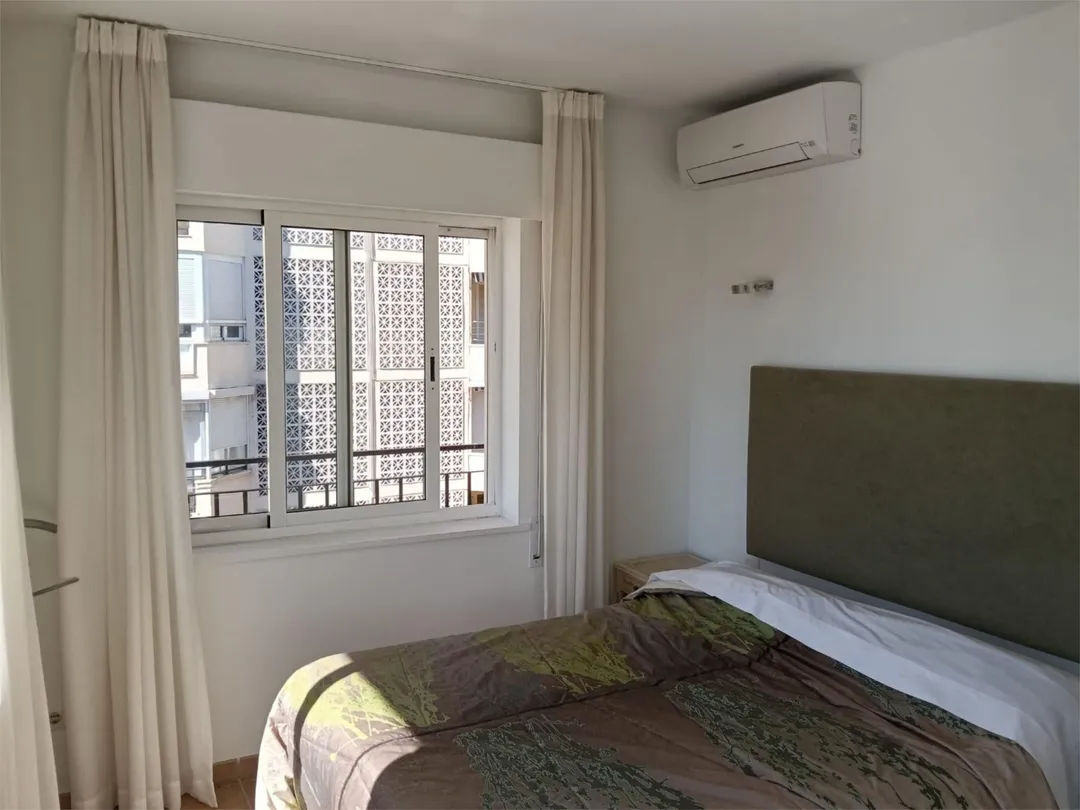 Piso en  Avenida Ricardo Soriano 35 - Foto 9