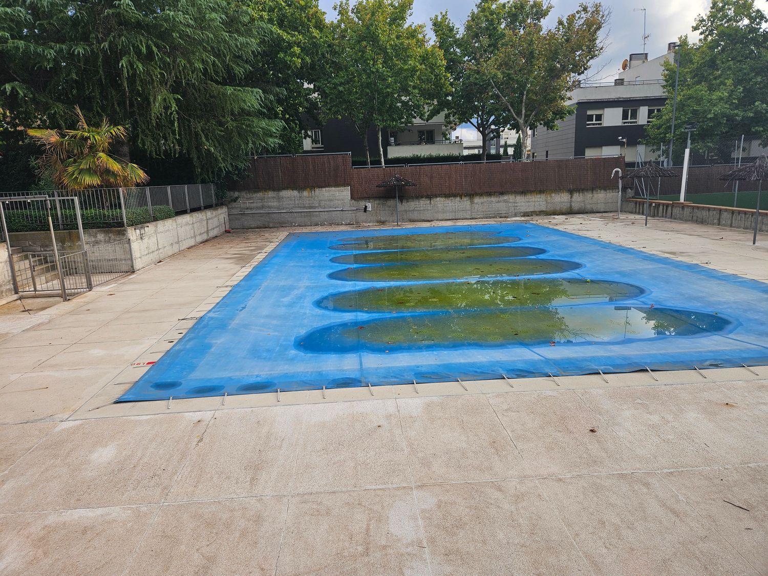 Piso en Calle Kalmia, 1, El Cantizal - Foto 25