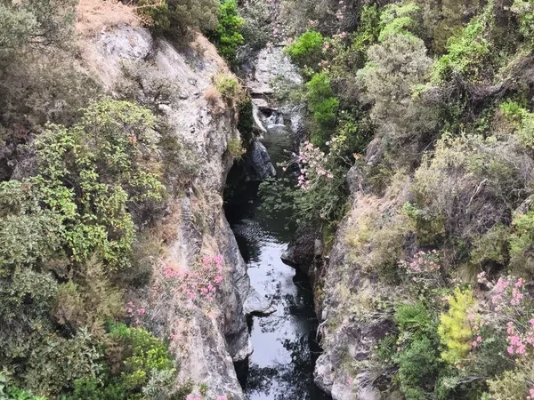 Piso en Urbanización Las Lomas, 14, Benahavís, Benahavís - Foto 19