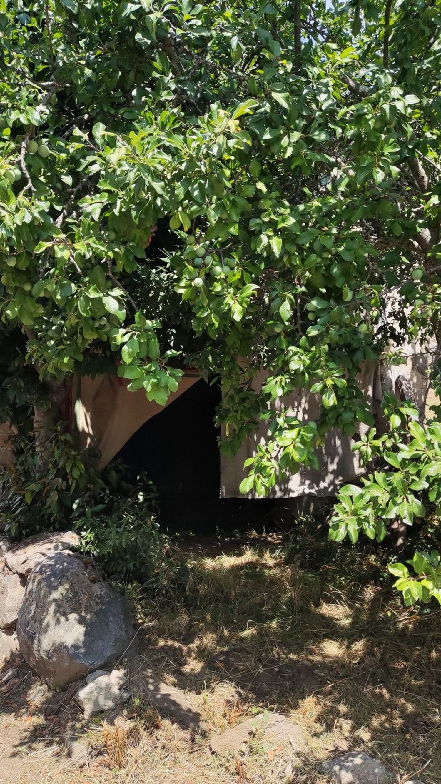 Casa de pueblo en Calle Barrio Abajo, 50 - Foto 4
