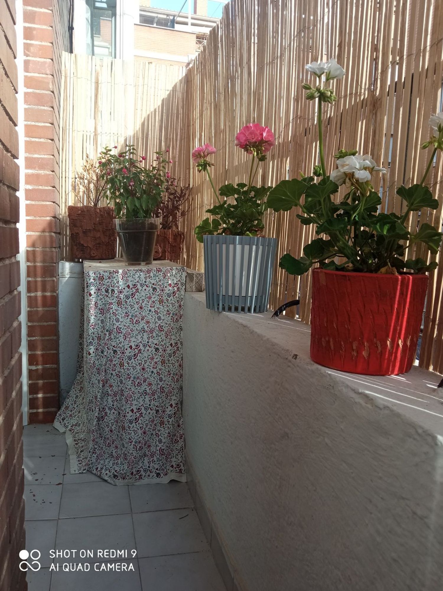 Piso en calle Sierra de Algodonales, 15 - Foto 4