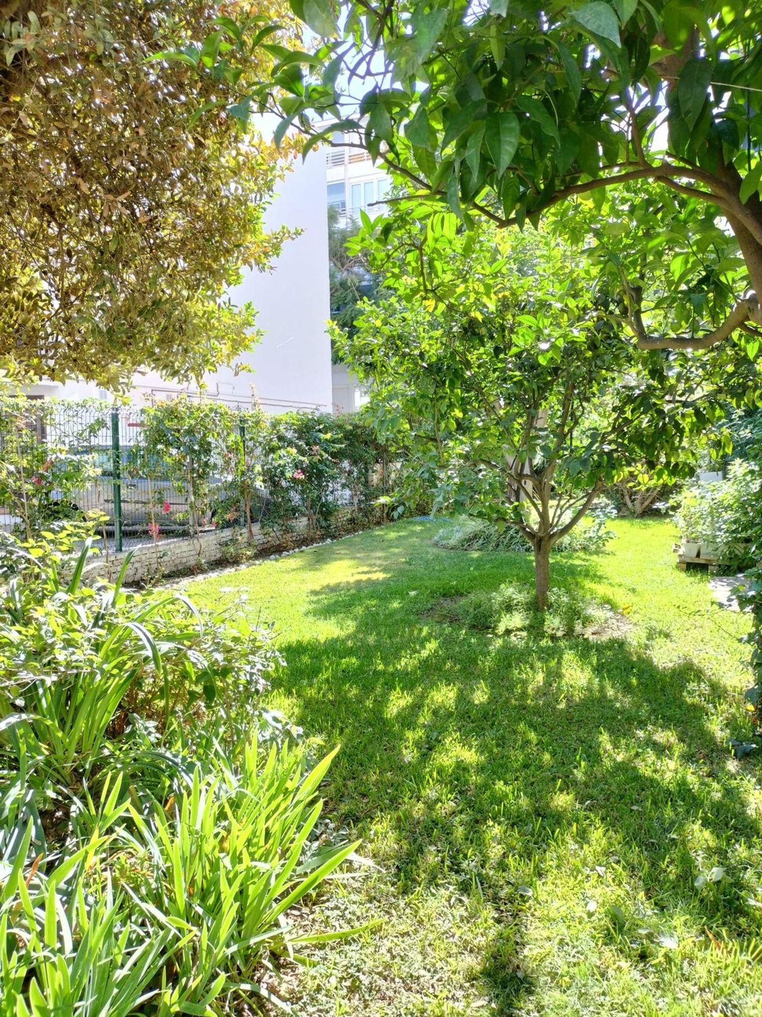 Piso en calle Pablo Casals, 10 - Foto 8