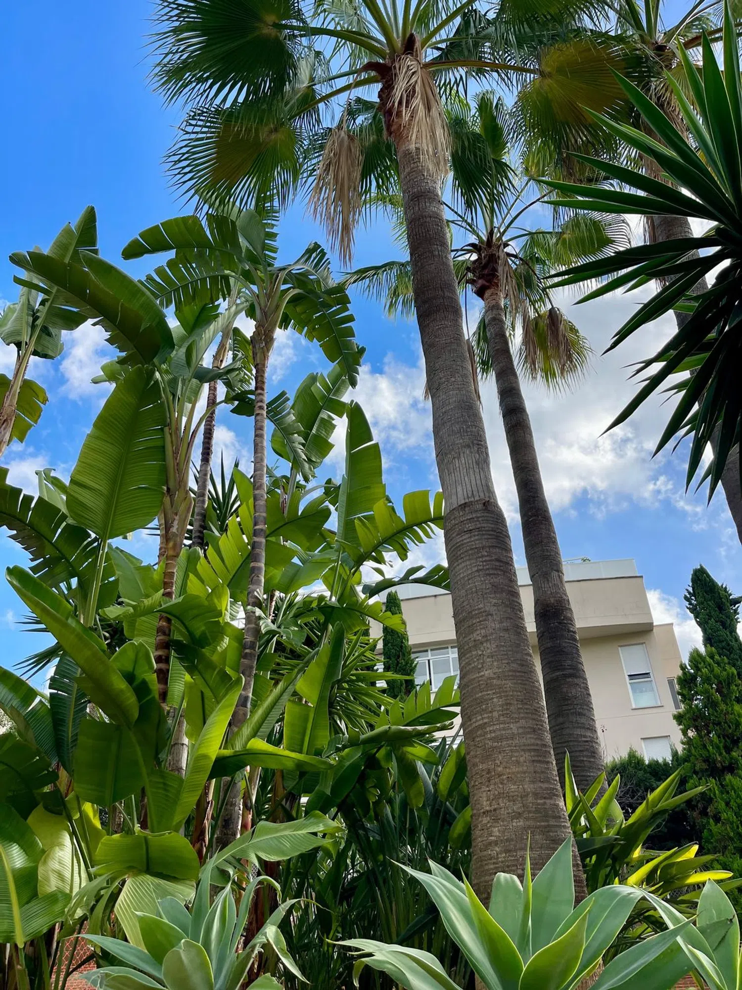 Ático en calle d'Adolf Vázquez Humasqué, 9 - Foto 19