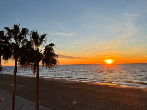 Estudio en Paseo de Colom, 6, Barri Marítim-Platja de la Paella, Barri Marítim-Platja de la Paella - Foto 11