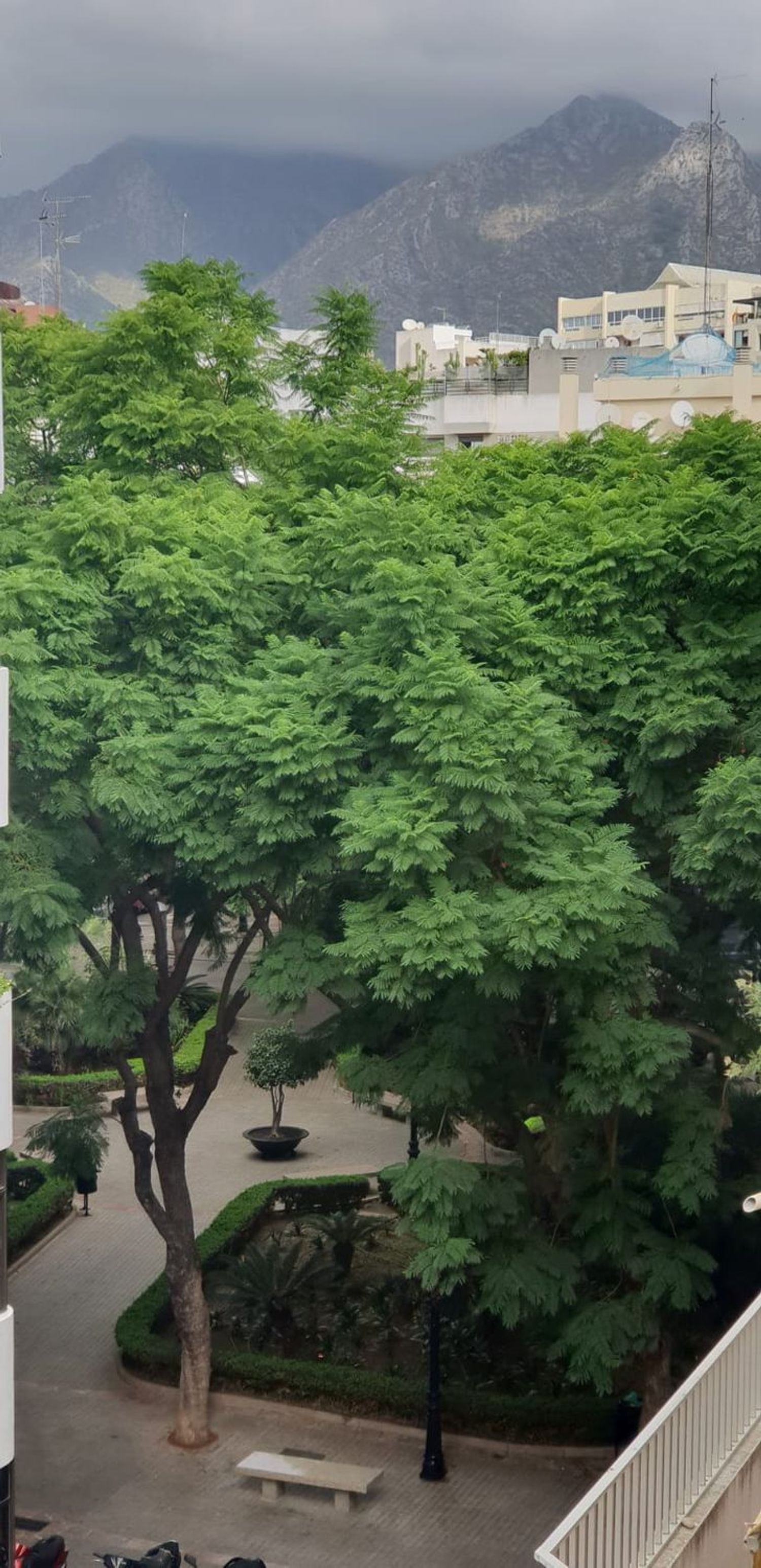 Piso en avenida Antonio Belón, 4 a - Foto 7