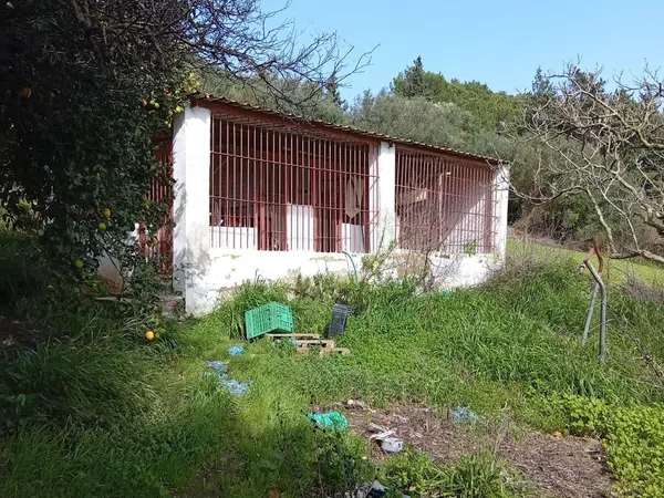 Finca rústica en camino Cañada del Fontanar s/n - Foto 2