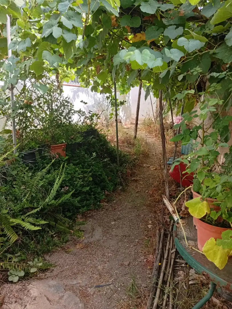 Planta baja en  Calle Galdames 83 - Foto 11