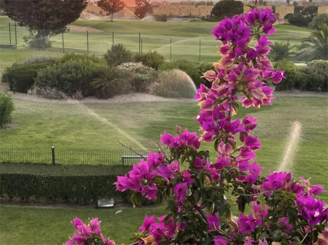 Casa adosada en  Calle Teodosio 12 - Foto 3