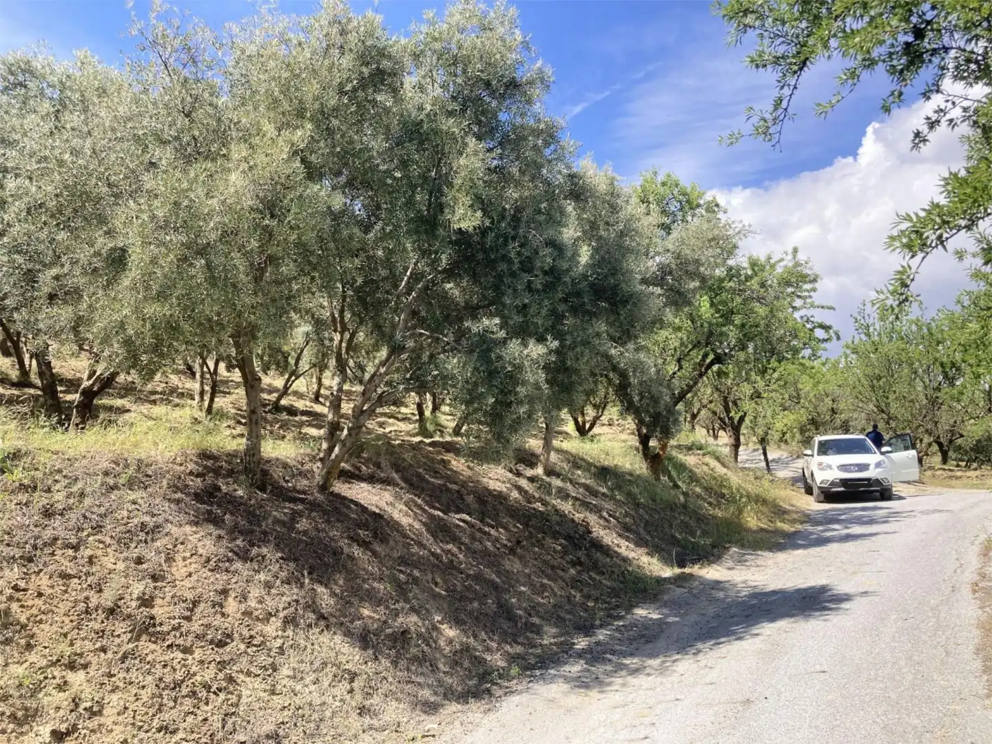 Finca rústica en  Calle Canales 9 - Foto 6