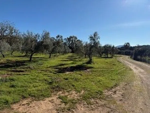 Cortijo en Cortijo en A-366 s/n, Partidas norte, Partidas norte - Foto 1