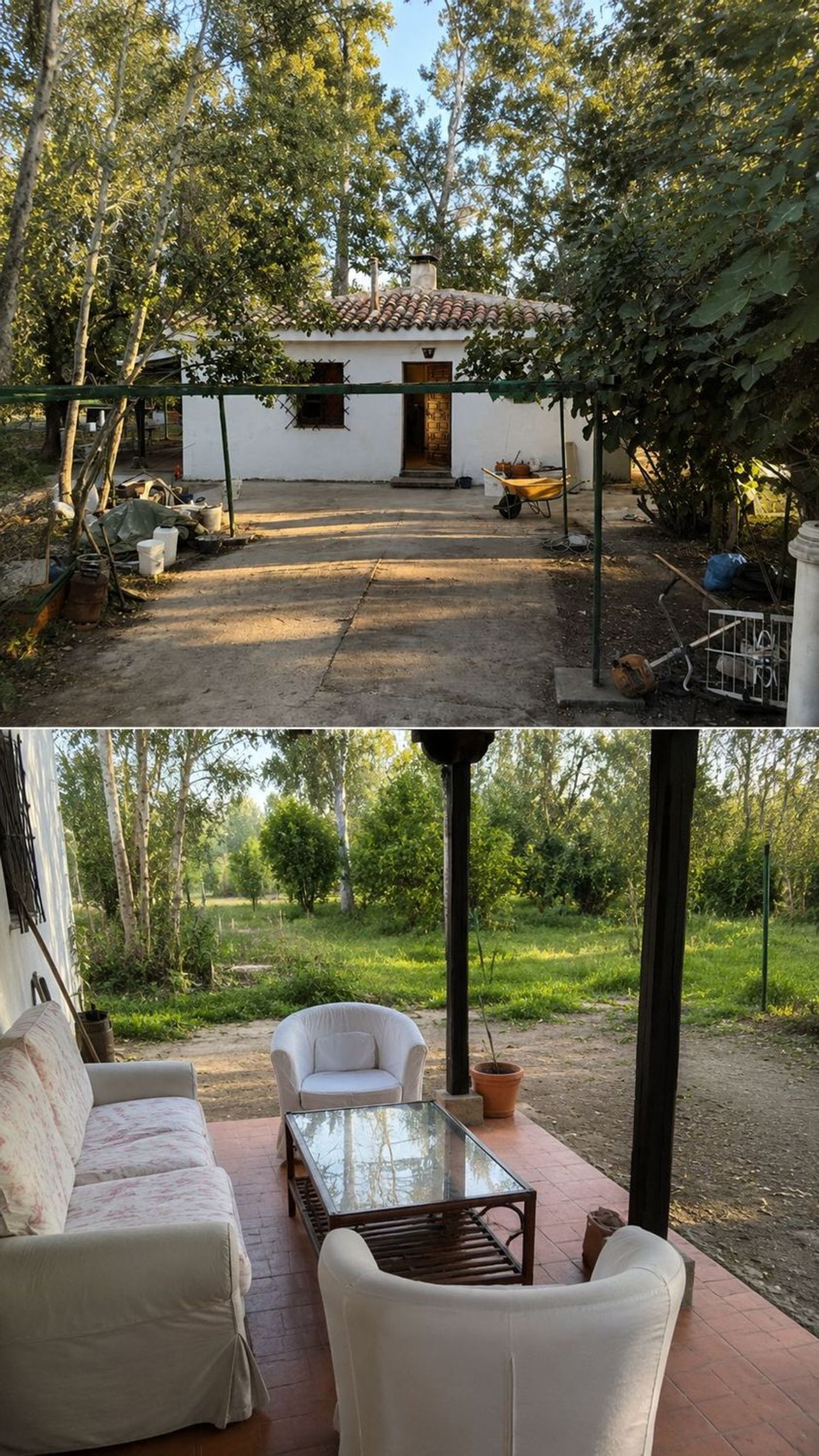 Casa o chalet independiente en Carretera M-404 s/n - Foto 3