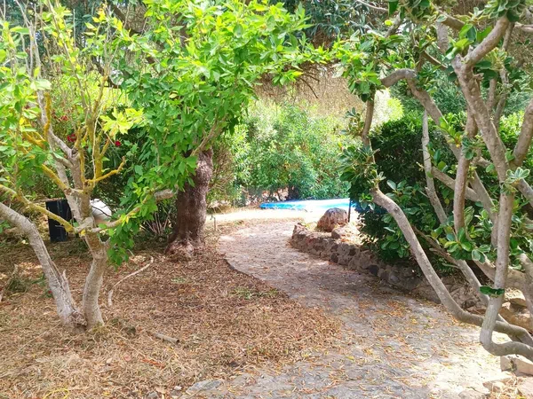Casa o chalet independiente en Barcarés - Manresa - Bonaire - Foto 19