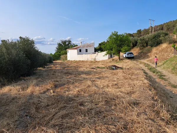 Cortijo en Camino del Castañar s/n - Foto 35