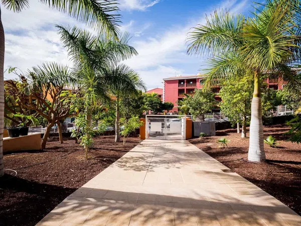 Piso en Calle Jilguero, 14, Palm Mar, Palm Mar - Foto 17