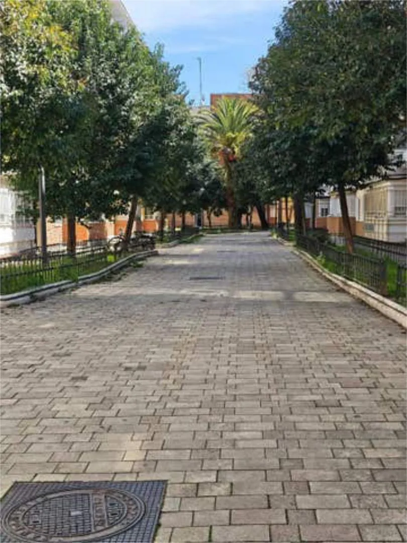 Piso en Centro - Foto 3