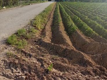 Finca rústica en  Carril de los Murcia 5 - Foto 18