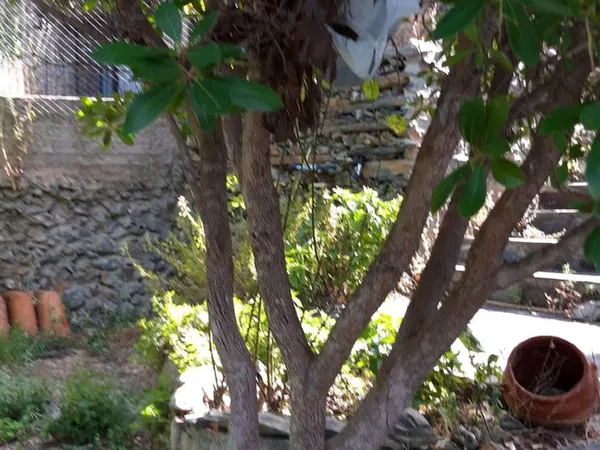 Casa de pueblo en arroyo s/n - Foto 2