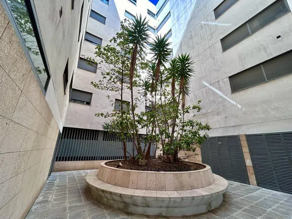 Piso en Calle Parra, 6, Centro - Foto 20