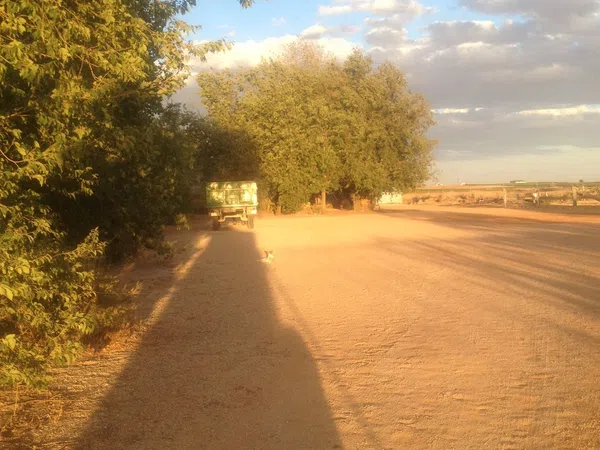 Finca rústica en Carretera de Ossa de Montiel s/n - Foto 2