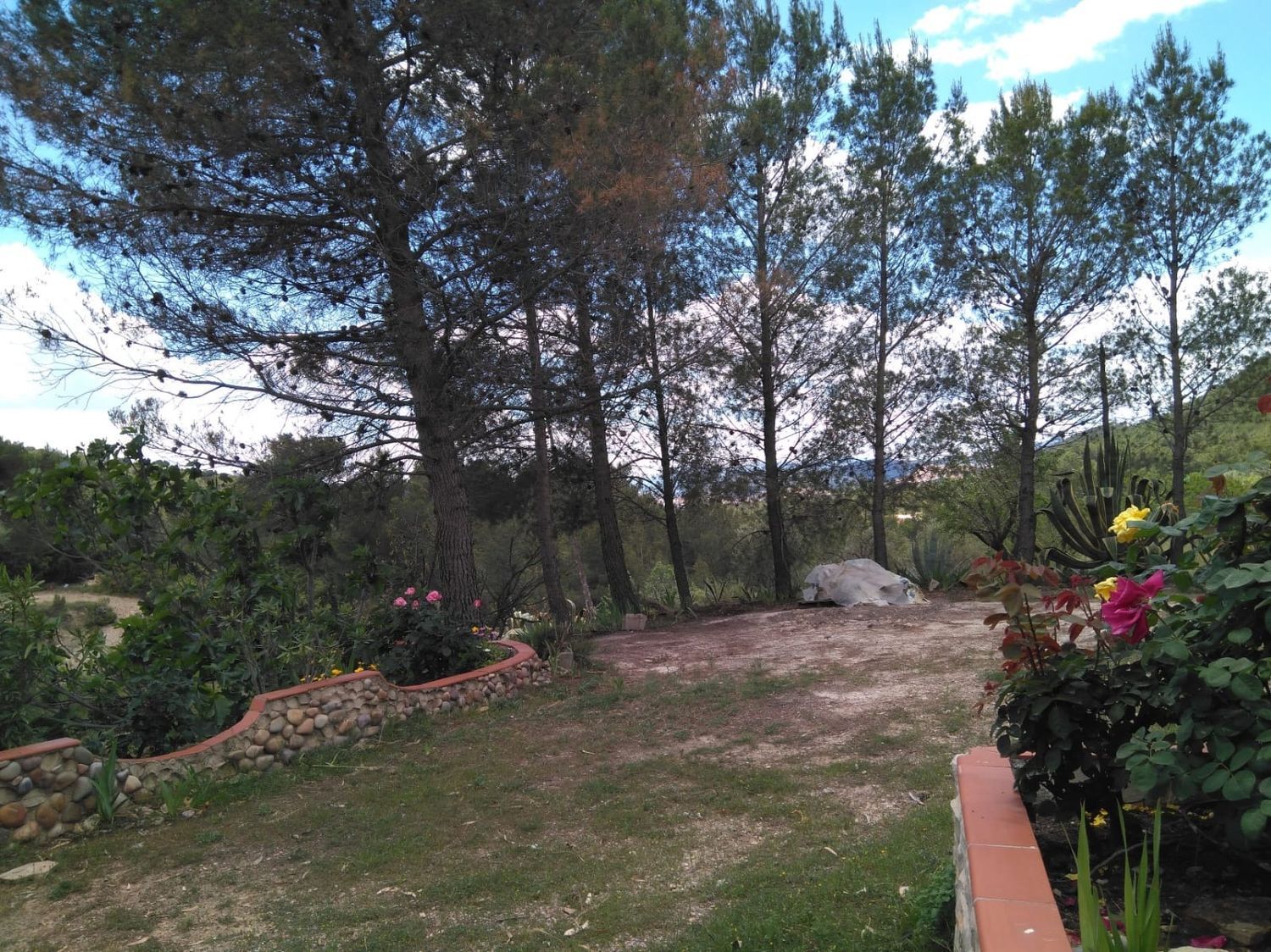 Casa o chalet independiente en Via Sin Nombre s/n - Foto 36