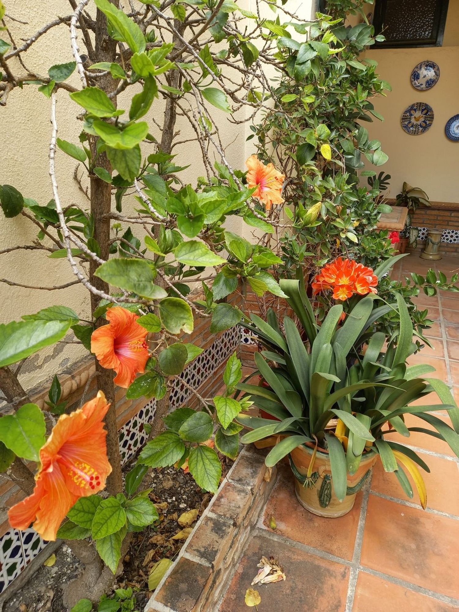 Casa o chalet independiente en Calle Gabriel y Galán, 9, Pedregalejo - Morlaco - Foto 40